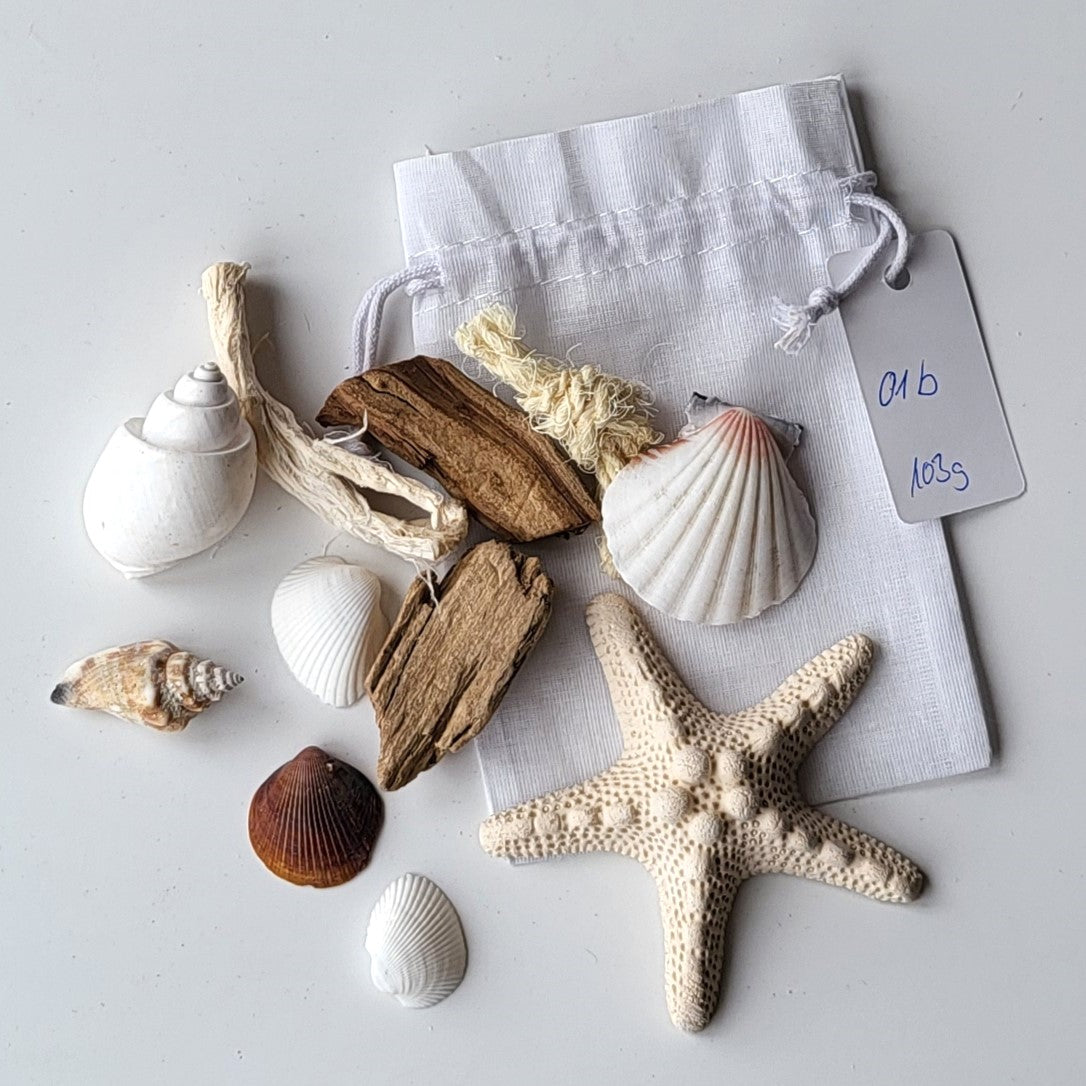 Deko Muscheln im Organdy Säckchen