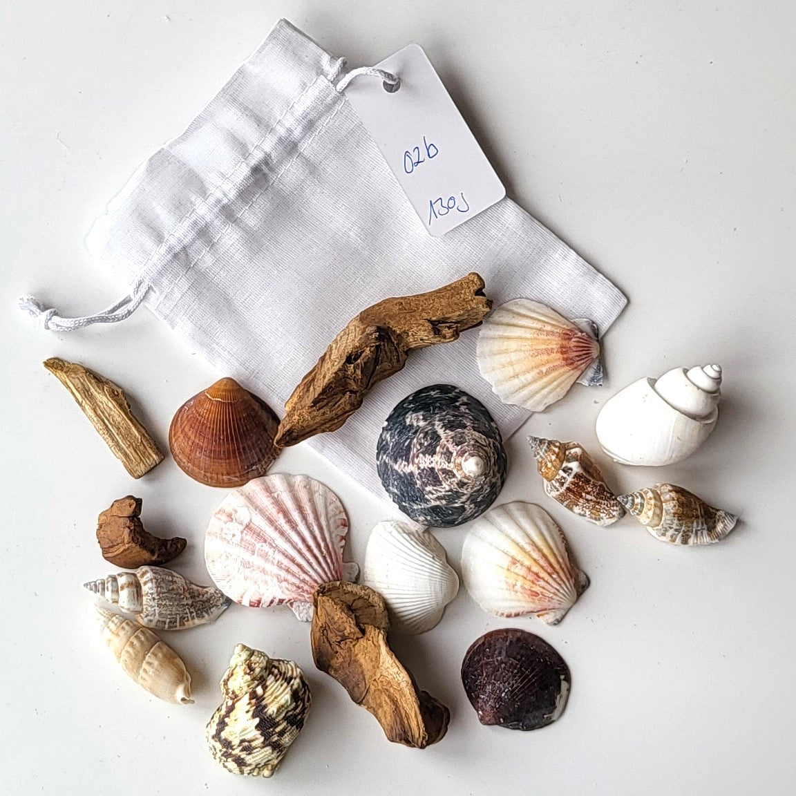 Deko Muscheln im Organdy Säckchen