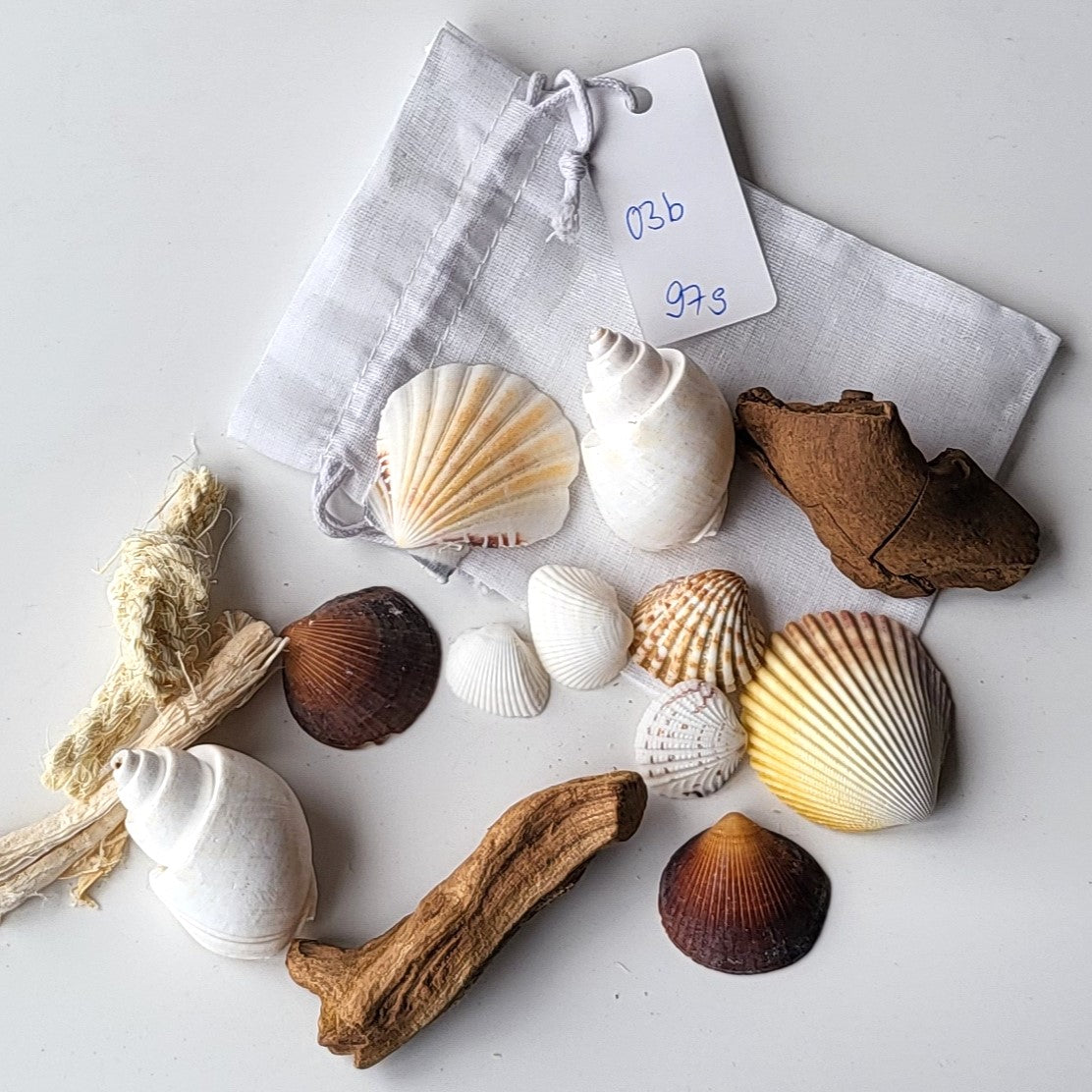 Deko Muscheln im Organdy Säckchen