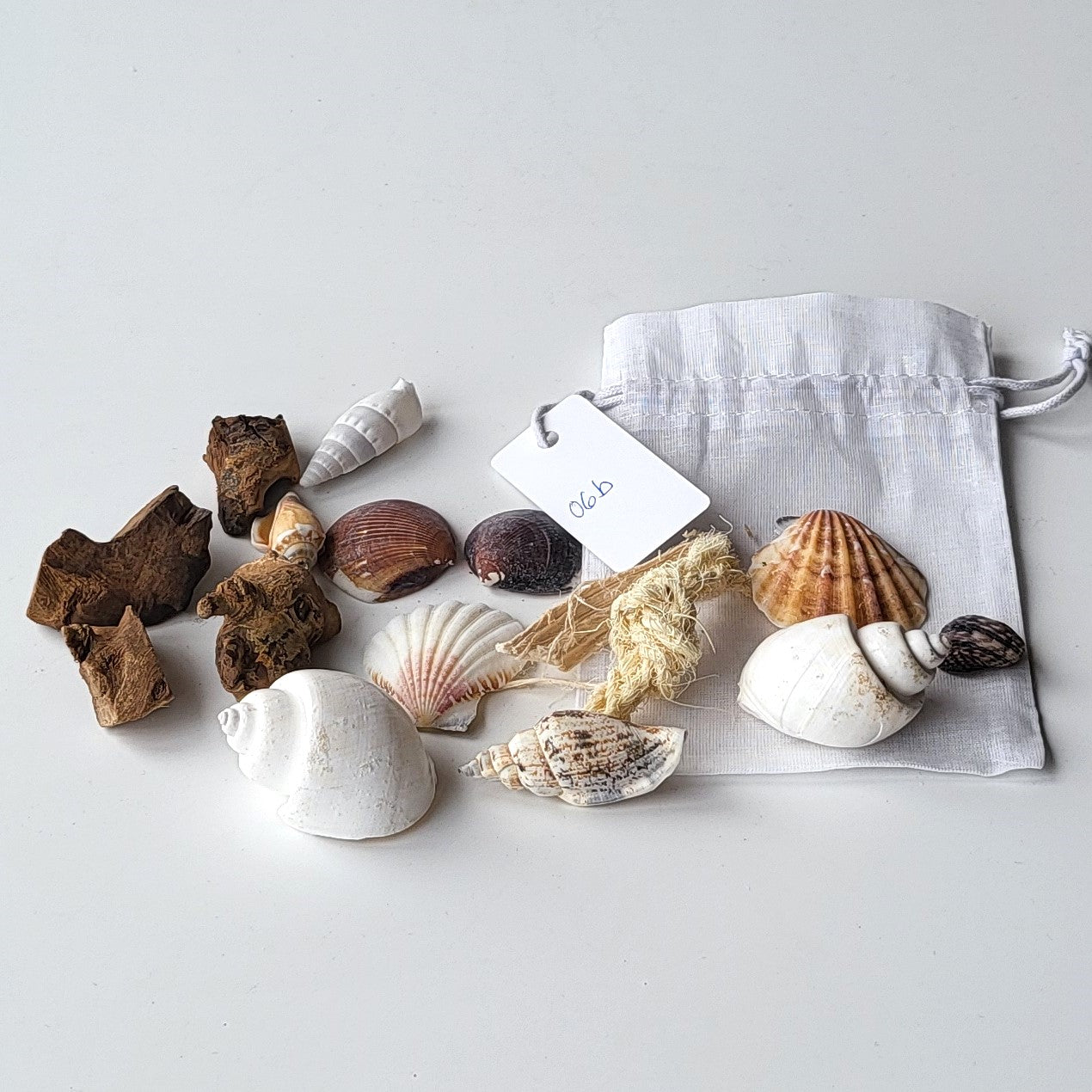 Deko Muscheln im Organdy Säckchen