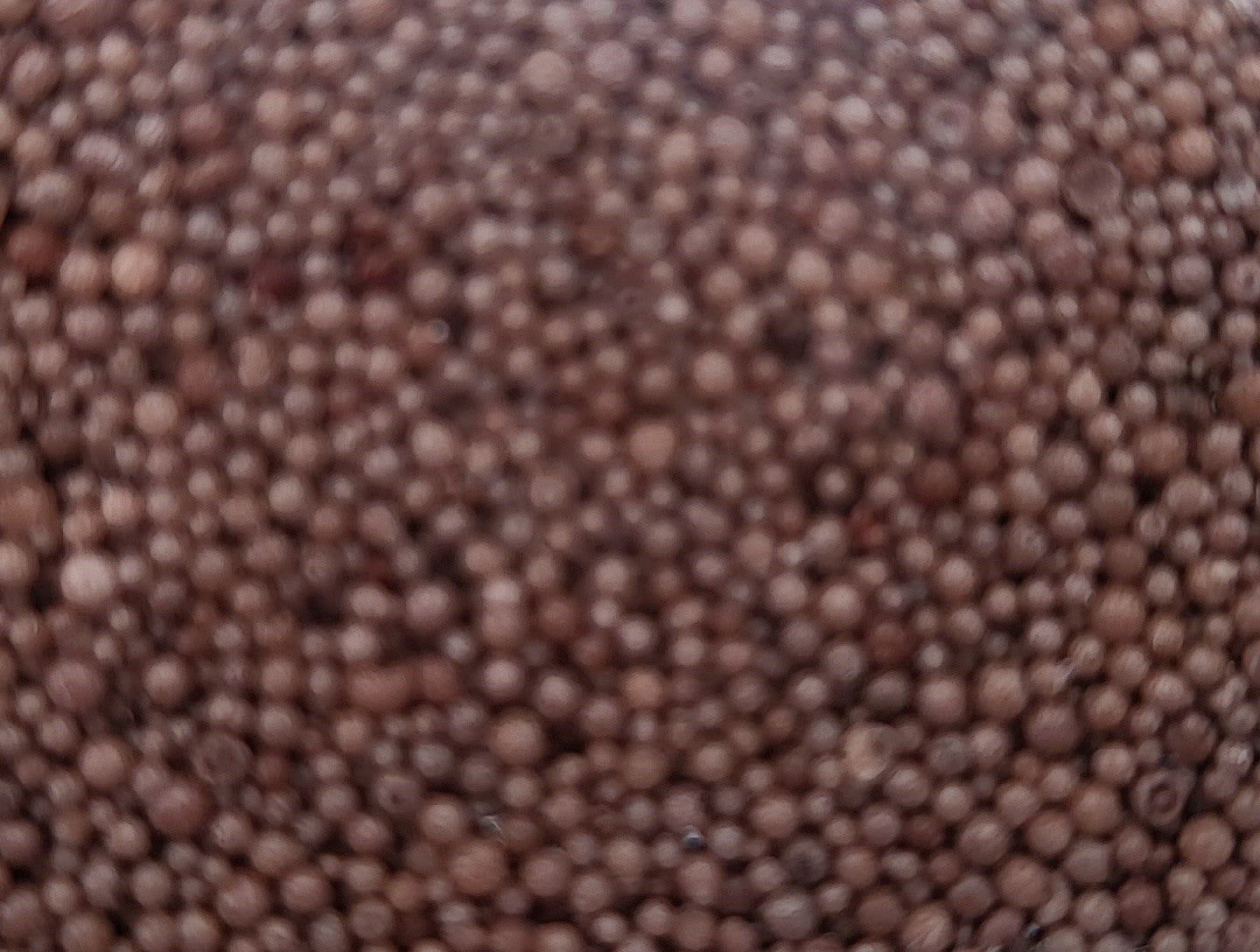 Chocolat 250g Les Allumées