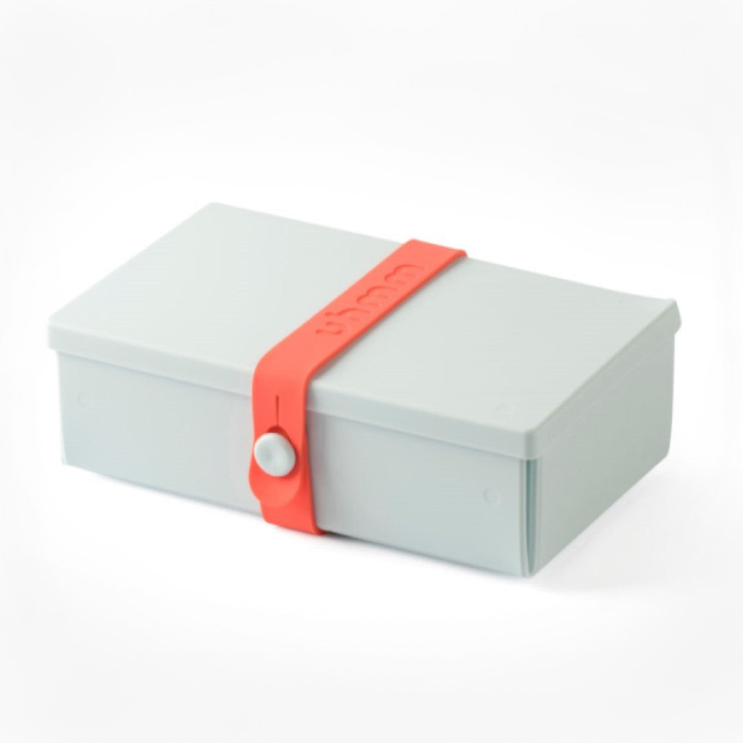 Lunch Box hellblau mit Silikonband koralle als Beispiel